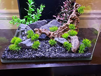 Natural Slate Stone 5 to 7 Inches - USA Sourced and Packaged for Aquascaping Aquariums, Terrariums, Paludariums, Reptile Enclosures, and Gardens (10lbs)