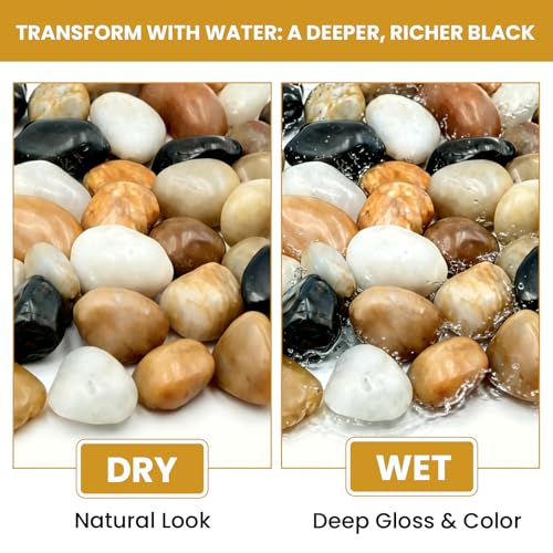 1-2 Inch Polished River Rocks, Decorative Stones for Indoor Plants, Vase Filler, Fish Tank & Aquarium, Garden Landscaping, Mixed, 6LB