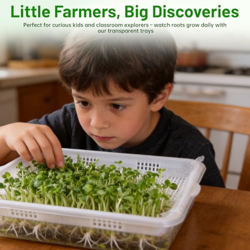 Acrylic Microgreens Growing Trays 3-Pack – Clear Hydroponic Seed Starter Kit with Silicone Mats & Spray Bottle – Reusable Plant Germination Trays for Vegetables, Wheatgrass, Cat Grass – Indoor Garden