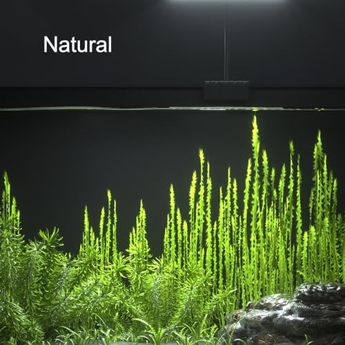Aquarium LED Light USB 5V1A RGBW 5730 Timmer 1~10Gal Fish Tank Clip Light 10 Brightness Levels 8W with USB Port (Include UL Certification Power Adapter)