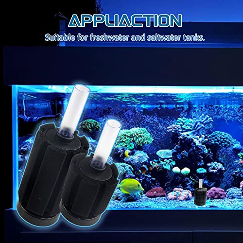 WMYCONGCONG 6 PCS Aquarium Sponge Filter Fish Tank Aquarium Soft Biochemical Sponge Filter for 10-20 Gallon Breeding Fry Betta Shrimp Fish Tank