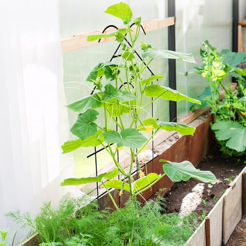 40" Metal Garden Trellis for Climbing Plants, 4 Pack Large Plant Trellis for Potted Plants, Indoor Outdoor Black Garden Trellis for Vines, Cucumbers, Flowers, 16.5" Wide - size: 40 inch