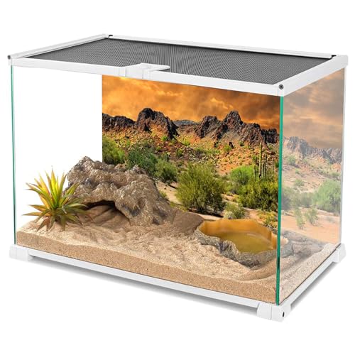 YongFoto Polyester Mexican Desert Sand Land Photography Background Desert View Cactus Green Bush Shrub Rocky Photo Backdrop 36x24 inches Dragon Tank Reptile Habitat Background Poster - color: Yellow-3, size: 36x24 IN