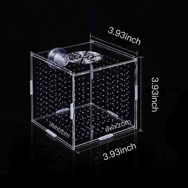 Acrylic Fish breeding Box, Acrylic Fish Isolation Box, Fish Separator for Aquarium, Hatchery Incubator with Suction Cups for Small Baby Fishes Shrimp Clownfish Guppy (3.9 * 3.9 * 3.9inch) - size: 3.9 * 3.9 * 3.9inch