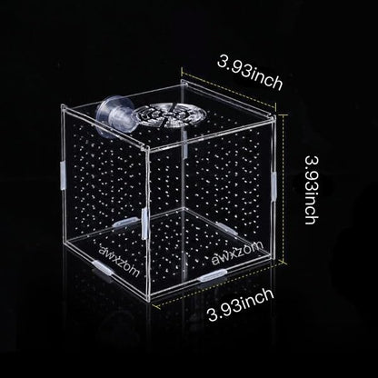 Acrylic Fish breeding Box, Acrylic Fish Isolation Box, Fish Separator for Aquarium, Hatchery Incubator with Suction Cups for Small Baby Fishes Shrimp Clownfish Guppy (3.9 * 3.9 * 3.9inch) - size: 3.9 * 3.9 * 3.9inch