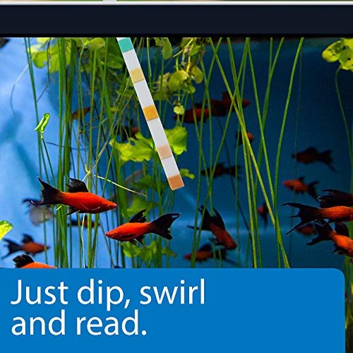 API 5-in-1 Test Strips Freshwater and Saltwater Aquarium Test Strips 25-Count Box - size: 25-Count