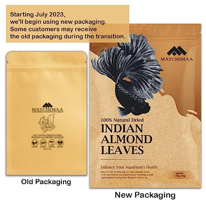 Premium Indian Almond Leave. Aquarium Decorations Size 6-9" Pack 50g(20-25 Leaves). Catappa Leaves Rich in Tannin. Superb to be Health Better, Vitality, Succesful Breeding! of Shrimp & Betta Fish Tank