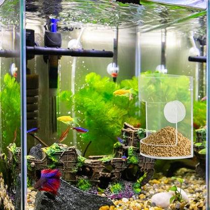 New Fish Tank Feed Tray with Suction Cup, Tank Divider Supplies, Feeding Tube Supplies Breeder Box for Aquarium, Round Aquariums & Fish Bowls Accessories - color: 1.Transparent