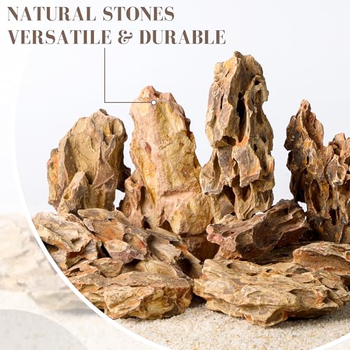 2.2-4.1 Inches Natural Dragon Stone, 10 PCS Small Aquarium Rocks for Aquascaping, Nano Tanks, Terrariums, Reptile Tanks & Aquarium Décor