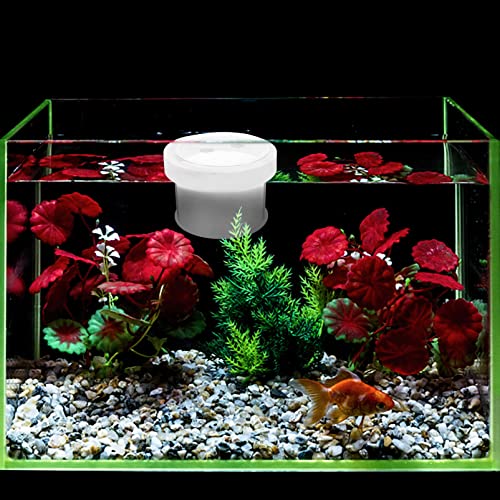 Floating Fish Box Acrylic Aquarium Fish Breeding Box Guppies Hatching Incubator for Hatchery 10X10X8CM