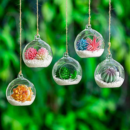 12 Pcs 3.15"/ 8cm Hanging Glass Tealight Holder Globe Plant Terrariums Glass Orbs Air Plants Tea Light Candle Holders Home Decor Indoor Outdoor Garden (with 2 Holes, 9 Pcs + 3 Pcs) - size: 12 Pcs