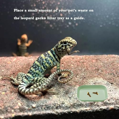 4 Pcs Leopard Gecko Potty Pad, Reptile Lizard Gecko Latrine Trays, Leopard Gecko Tray for Lizard Reptile Gecko (Green and Beige)