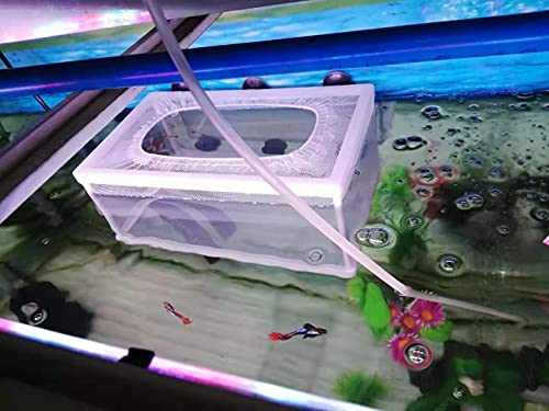 Fish Nursery for Aquarium-Fish，Aquarium Fish Breeder Box, Hatching Box, Juvenile Fish Spawning Incubator, Water Isolation Net Hatchery、Fish Isolation Box 25 x 14 x 15cm - color: rectangle