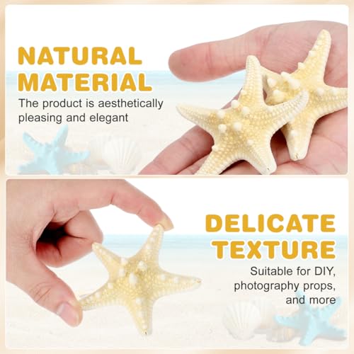 ULTECHNOVO Natural Decorative Ornament 3.14 Inch Seashell Wall and Aquarium for Home Wedding Garden Crafts