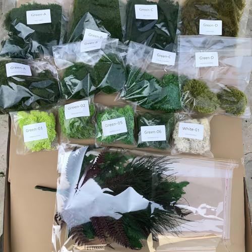 DIY Crafts Assorted Moss Kit Mixed Preserved Stabilized Moss Pillow Cushion Natural Green Real Decoration Sample - color: Sample, size: 1.5 sq.ft.