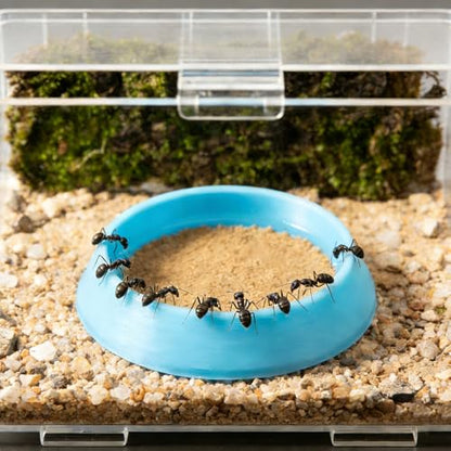 6 Pcs Cricket Water Bowl Plastic Feeding Dish with 6 Pcs Sponge for Hermit Crab Cricket Scorpion Ant Isopod Invertebrate (Blue)