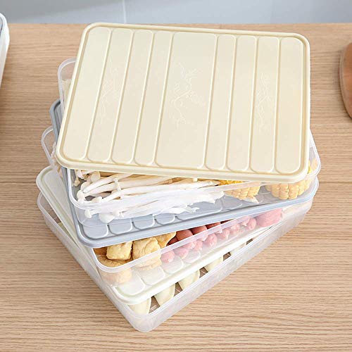 Square Refrigerator Storage Box Kitchen Household Plastic Food Sealed Frozen Fish And Shrimp Sliced Vegetable Box Refrigerator Storage & Finishing Box-Gris