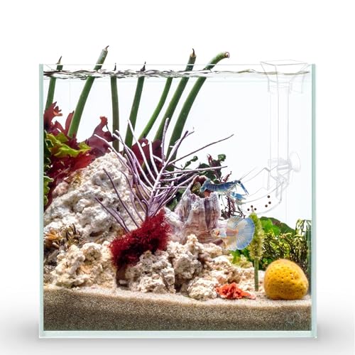 Aquarium Fish Shrimp Feeding Dish Set - Clear Feeder Tube and Dish With Cleaning Brush and Measuring Spoon for Shrimp - Prevents Food Scattering - Supplies for Small Fish