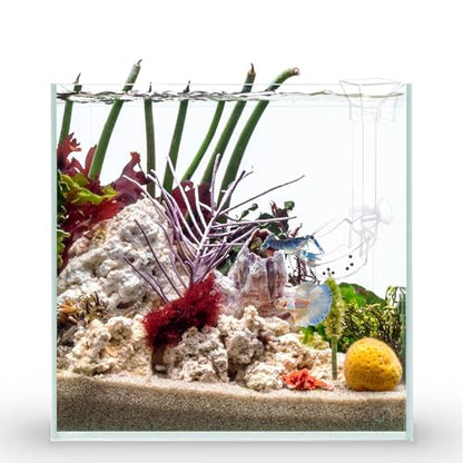 Aquarium Fish Shrimp Feeding Dish Set - Clear Feeder Tube and Dish With Cleaning Brush and Measuring Spoon for Shrimp - Prevents Food Scattering - Supplies for Small Fish