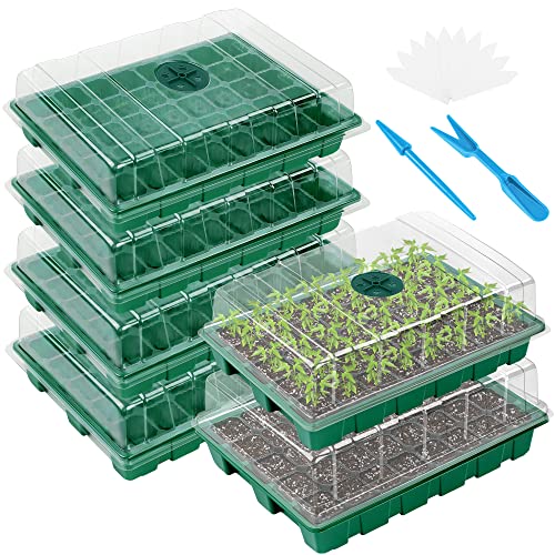 Elcoho 6 Pack Seed Starter Tray Kit 40 Cells Seedling Trays with Humidity Dome and Base Mini Propagator Plant Nursery Pots Total 240 Cells for Greenhouse Plants Growing, Green - color: Green