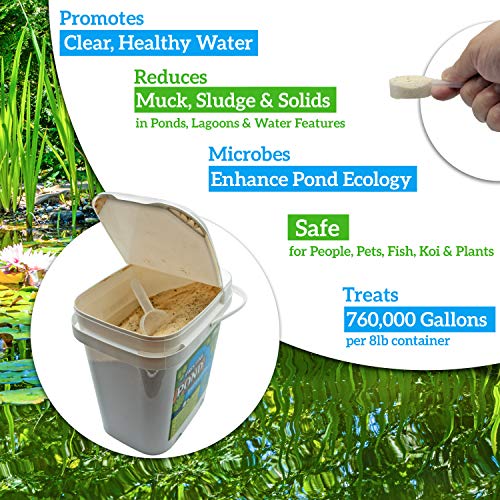 Pond Cleaner & Clarifier - Outdoor Pond Treatment to Remove Muck & Sludge with Natural Pond Bacteria for Clear Water in Outdoor Ponds, Safe for Live Koi Fish & Water Plants - 8lbs, Treats 760k Gallons