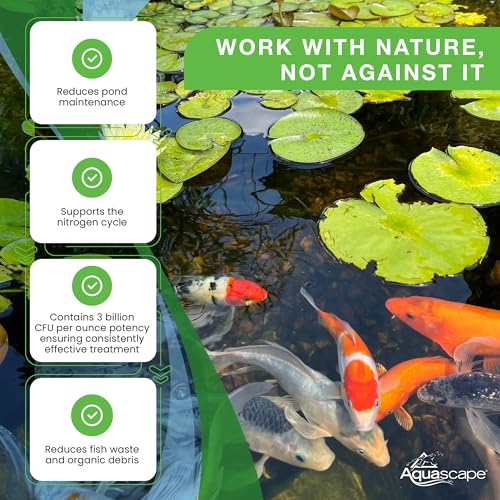 Aquascape 98950 Beneficial Bacteria Water Treatment Dry - 3.2 kg/7 lbs for Pond Water Feature Waterfall | Provides Clean, Clear and Healthy Water Conditions and Reduces Pond Maintenance - size: 7 lb