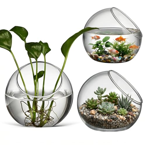 balacoo 3 Pcs Glass Terrariums Bowl for Plants, Terrarium Jar for Air Plant Clear Globe Vase Glass Bowl for Home Desktop Decor | Modern slant-cut design adds elegance to home or office. Transparent glass displays succulents and moss for a stunning view.