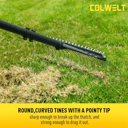 Thatch Rake, Dethatcher Rake with Thin, Curved Spring Steel Tines, Dethatching Thatching Rake for Lawns with 61’’ Steel Handle, Lawn Tine Rakes for Pine Needles, Dead Grass, Garden Debris