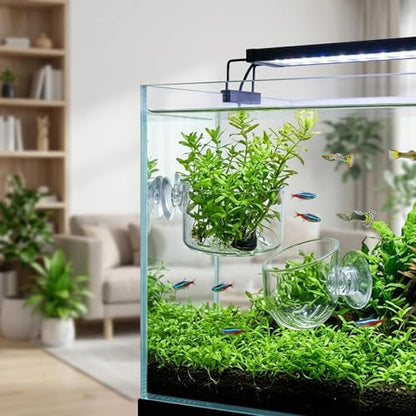 5pcs Aquarium Plant Holder Set, Fish Tank Plant Holder, Fish Tank Accessories for Aquascaping, Aquarium Plant Arrangement