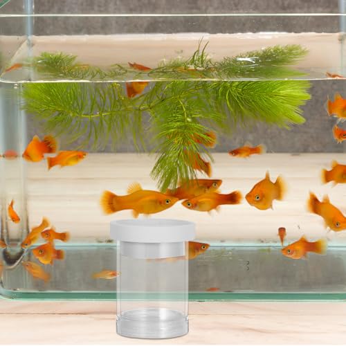 Lurrose Fish Breeding Box for Aquarium with Floating Egg Isolation Net, Small White Hatching Incubation Container, Guppy Fish Tank Isolation for Fry Nursery and Egg Protection