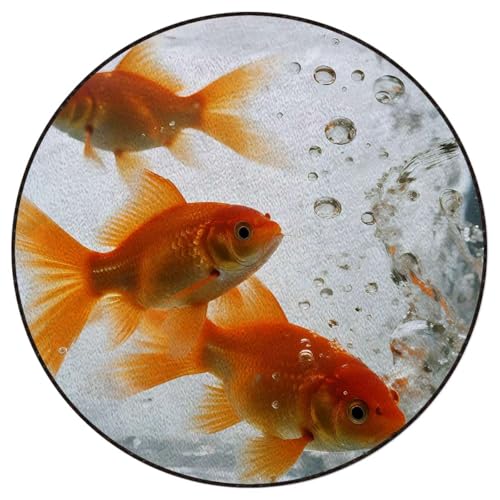 Aquarium Round Area Chair Mat for Hardwood Floors, Golden Carp Swivel Chair Protector, Protect The Floor from Scratches, Orange Gold White Diameter 59 in