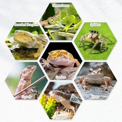 4 Pack Reptile Food Bowl, Mini Ceramic Water Feeder Bowl, Reptile Worm Feeding Dish for Lizard Turtle Bearded Dragon Anoles Crested Gecko Hermit Crab Leopard Gecko Chameleon Corn Snake - size: 4 Pcs 2.7 '' x 0.8 ''