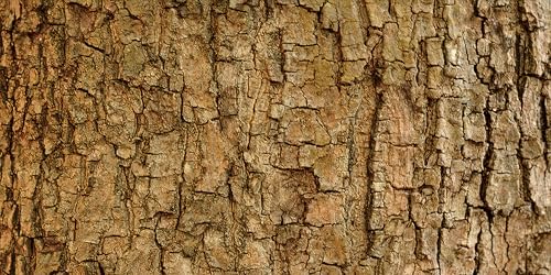 48x18 inches Aquarium Fabric Background Natural Tree Bark Aquarium Backdrop Wood Grain Fish Tank Aquatic Plants Background