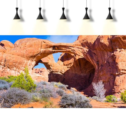 Double Arch Reptile Terrarium Background Sunny Blue Sky Bush Thorns Terrarium Background Arid Barren Cactus Sandstone Reptile Tank Background Arch Rock Mountain Reptile Habitat Background 24x12in