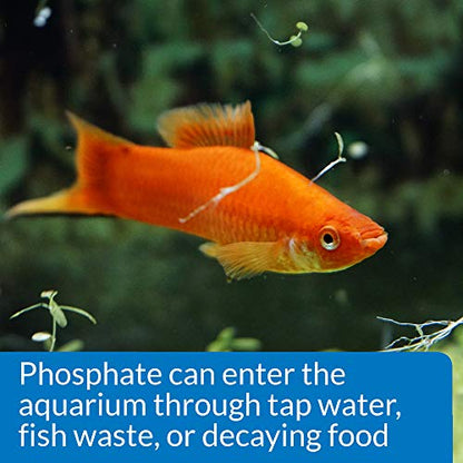 API Phosphate Test Kit For Freshwater And Saltwater, 64 OUNCES