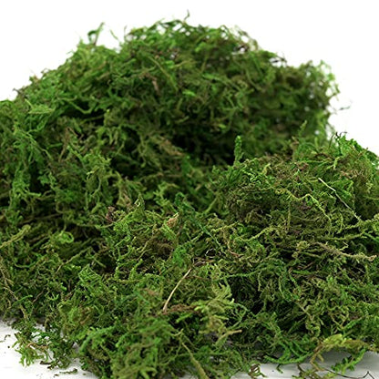 Artificial Moss, 16OZ Fake Moss for Crafts Table Centerpieces Fairy Garden Wedding Party Decor, Faux Grass for Potted Plants, 455gr (Fresh Green)
