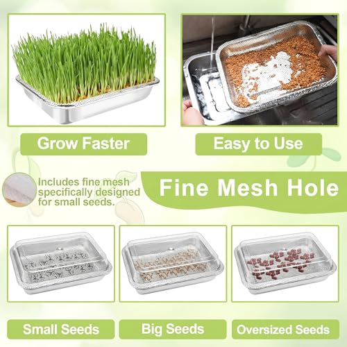Sprouts Growing Acrylic lid for 2-Tier 10.4 inch Trays, Microgreens Growing lid, Seed Sprouting Sprouts for Beans Alfalfa Broccoli Wheat Grass - size: 10.7"L × 7.87"W × 2.17"H Lid