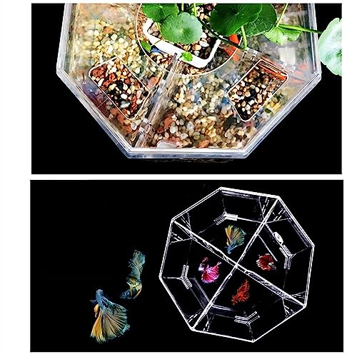 MACIUM Fish Bowl Vase Small Fish Tank Isolation Box Breeding Special Acrylic Transparent Fish Tank with Pump Filtration Ornamental Fish Tank Desktop Ornaments Small Fish Tank Starter Kit