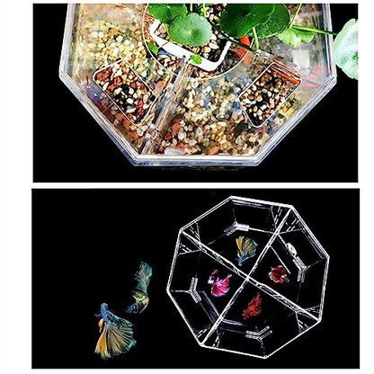 MACIUM Fish Bowl Vase Small Fish Tank Isolation Box Breeding Special Acrylic Transparent Fish Tank with Pump Filtration Ornamental Fish Tank Desktop Ornaments Small Fish Tank Starter Kit