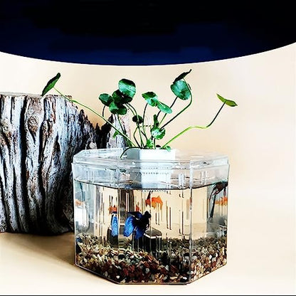 MACIUM Fish Bowl Vase Small Fish Tank Isolation Box Breeding Special Acrylic Transparent Fish Tank with Pump Filtration Ornamental Fish Tank Desktop Ornaments Small Fish Tank Starter Kit