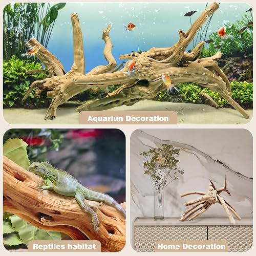 Natural Spiderwood for Aquarium Decor 2-Piece 11''-14'' Long Natural Driftwood Branches for Fish Tank Decorations