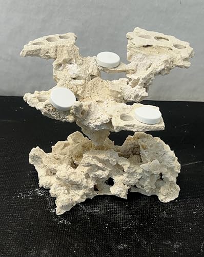 Coral Plug Holder, Natural Rock Frag Coral Growth (Natural White, Small) - color: Natural White, size: Small