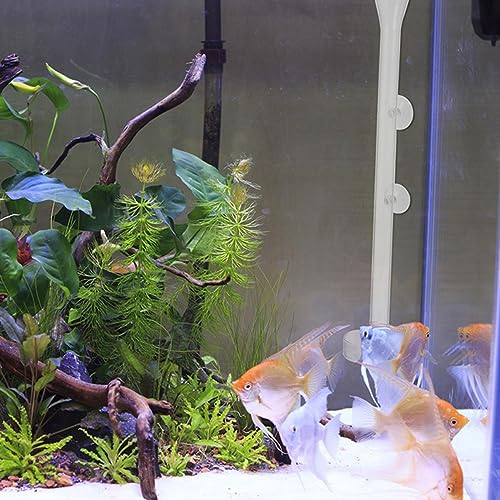 LIOOBO 1set Fish Feeder Transparent Shrimp Device for Fish Tank Multi-Functional Aquarium Supplies Box