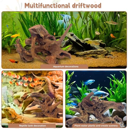 Natural Large Driftwood for Aquarium Fish Tank Decorations, Driftwood for Reptile Tank Bearded Dragon Tank Accessories Terrarium Decor (7.5 to 14.5 inches / 2 Pack)