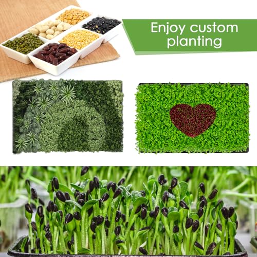 Microgreens Growing Trays Kit – 6 Pack Micro Green Grow Trays with 12 Hemp Fiber Grow Mats, 15 x 11 x 2.5 Inch Seed Starter Trays for Growing Microgreens, Indoor Gardening - size: 15in-6P with 12 Mats