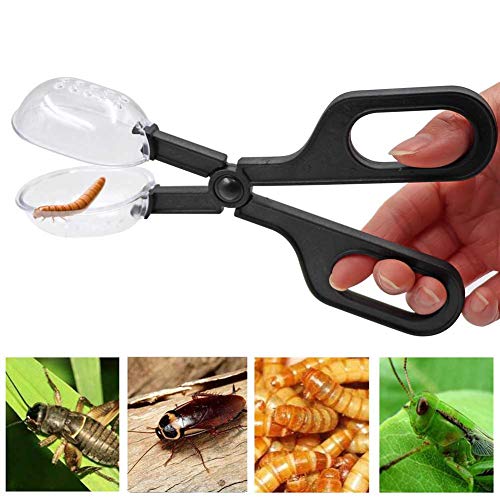 2 Pieces of Reptile Feeding Clamp Reptile Poop Scoop Cage Fish Tank Cleaning Tools Reptile Feeding Tool for Gecko Lizard Bearded Dragon