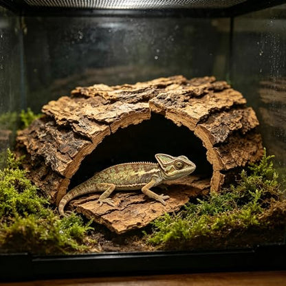 4PCS Reptile Cork Bark, Natural Cork Terrarium Background Reptile Climbing Mat Habitat Decor for Turtles, Lizards, Bearded Dragons, Chameleons