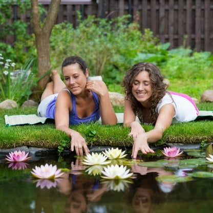 Aquatic Plant Soil for Water Lily & Lotus – Clay-Based, Nutrient-Rich Pond Plant Growing Medium, Ideal for Small Ponds & Water Gardens, Safe for Fish & Aquatic Life 4LB