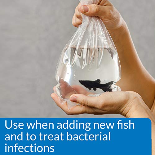 API MELAFIX Freshwater Fish Bacterial Infection Remedy 8-Ounce Bottle - size: 8-Ounce