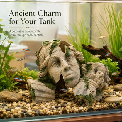 Aquarium Hideout Cave Decor, Betta Fish Tank Decorations Cave Ornament Accessories for Breeding Betta Goldfish Shrimp Conch Reptile Leopard Gecko